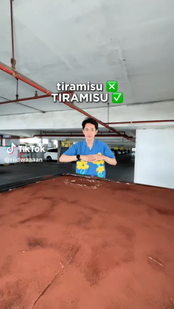 tiramisu ❎, TIRAMISU ✅