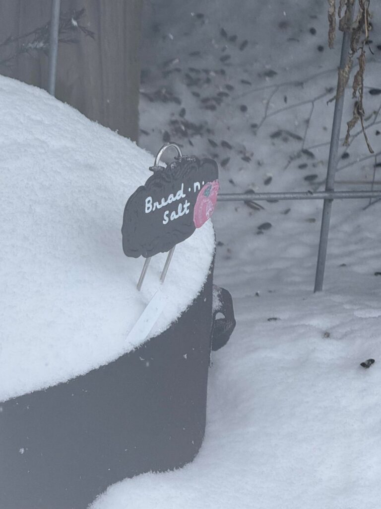 Zone 6b Georgetown, KY