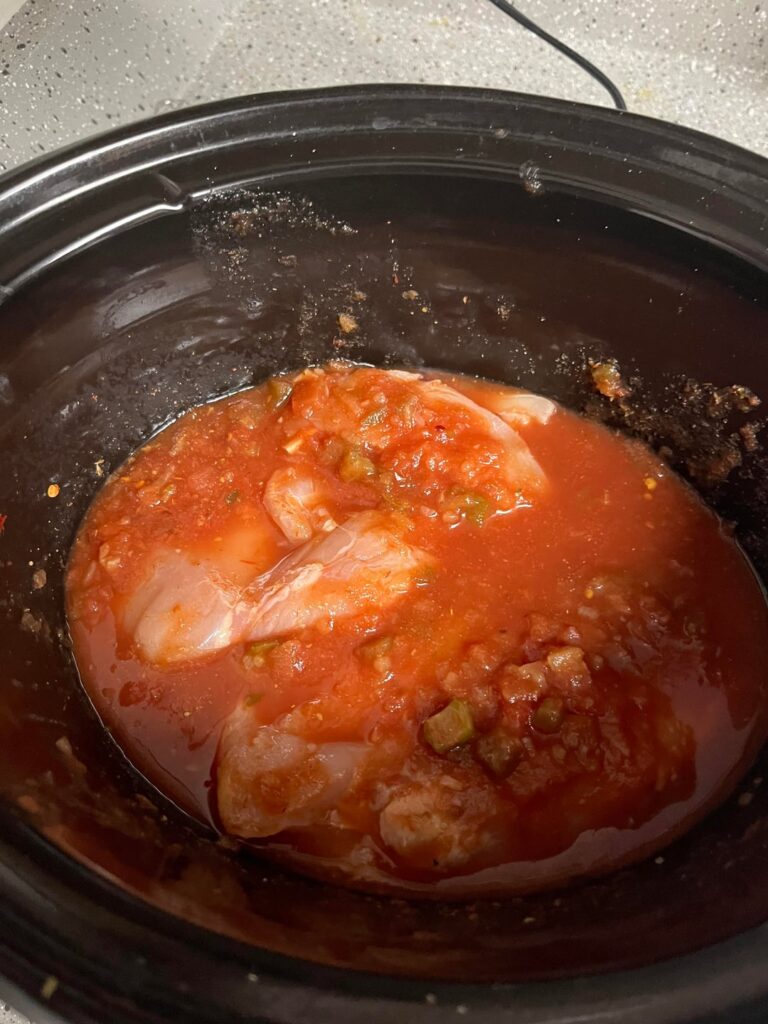 Small batch of salsa chicken