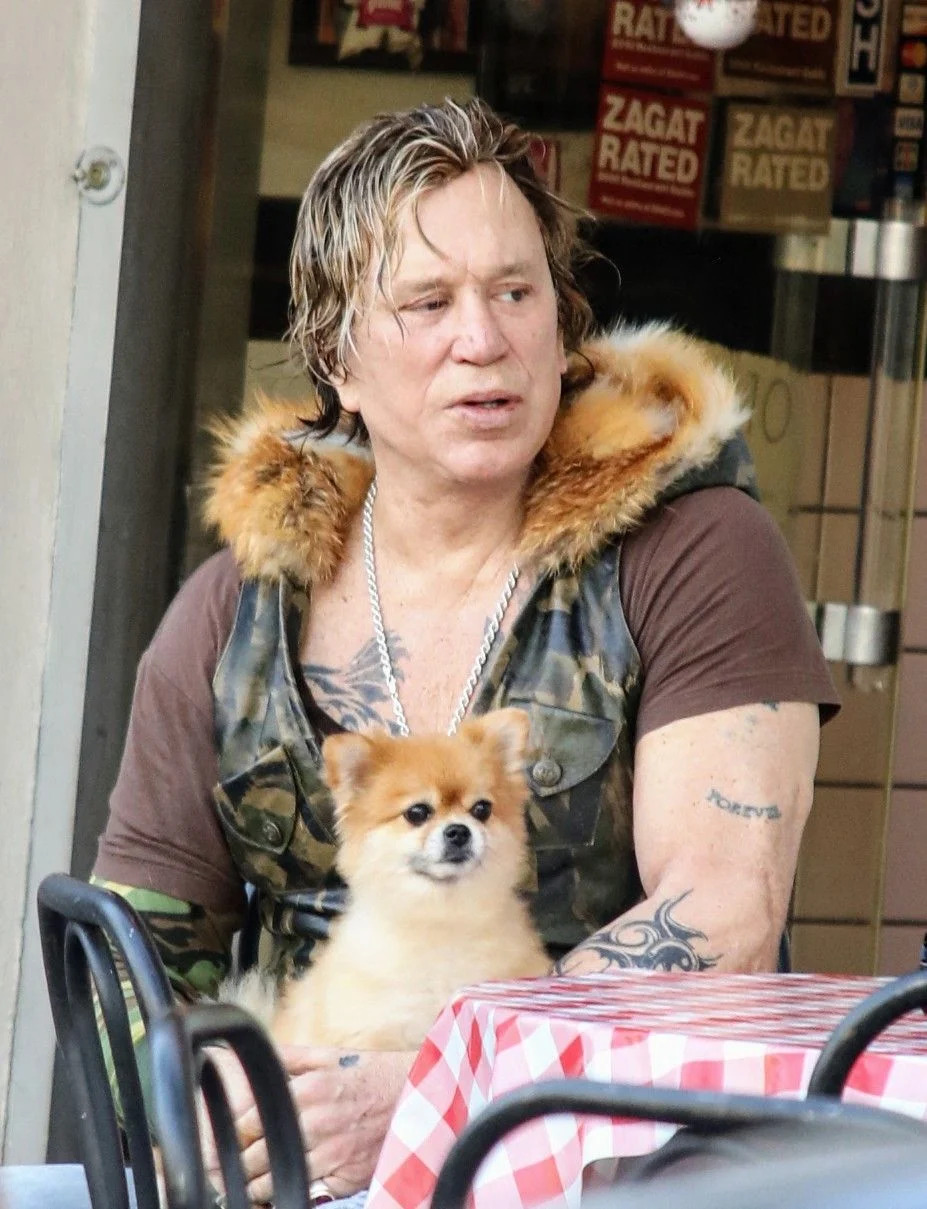  <span class="wp-caption-text">APEX / MEGA</span>