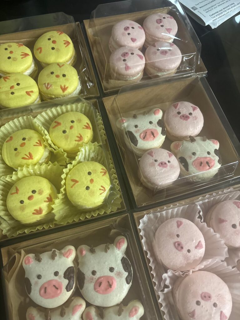 Barn animal macarons (last slide is a reference photo i was sent)