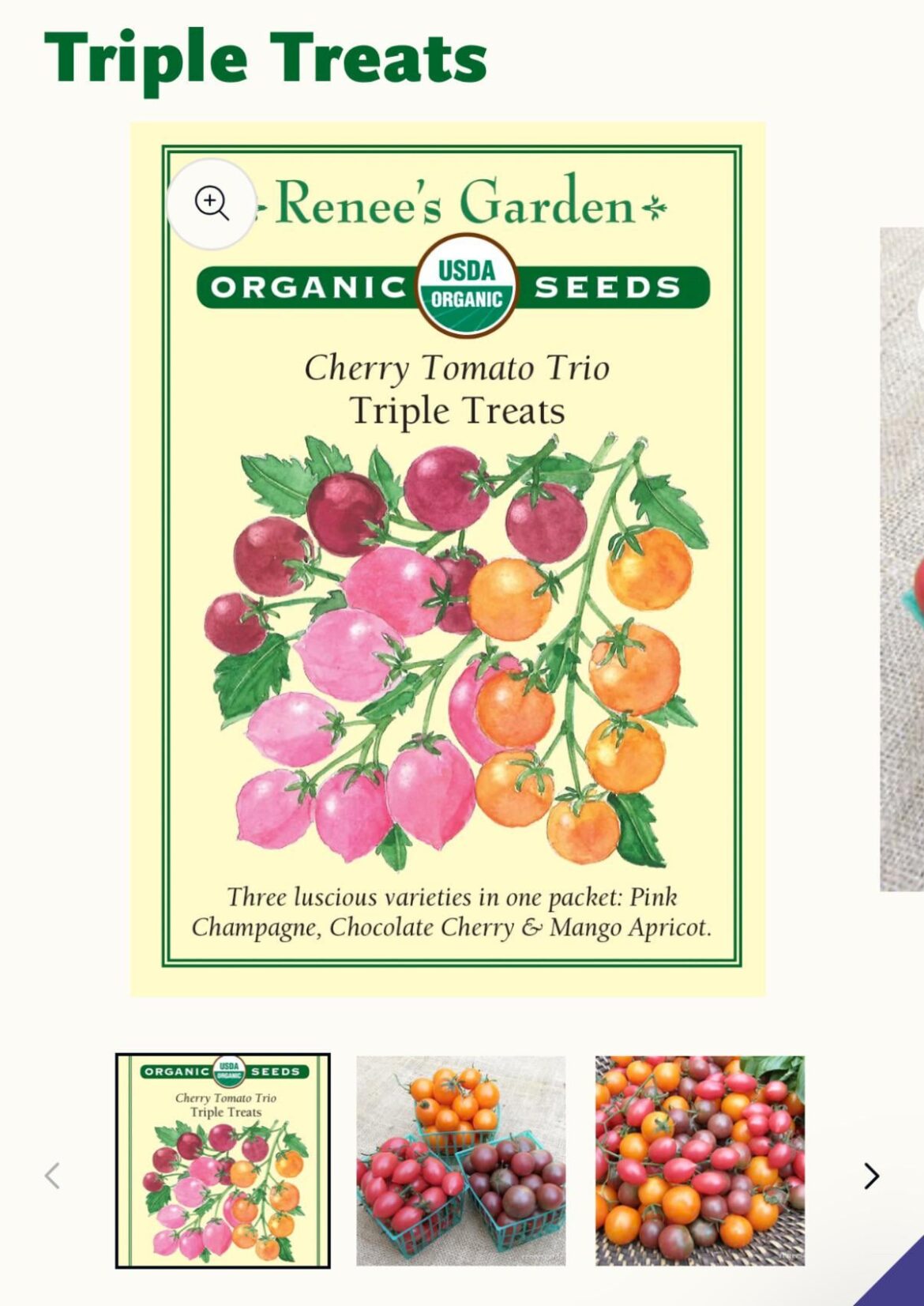 Chocolate Cherry Tomatoes