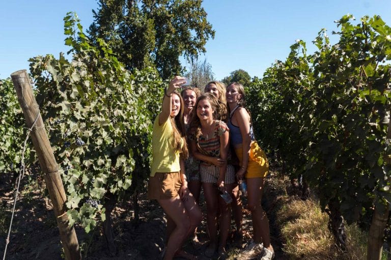 fiesta vendimia chile