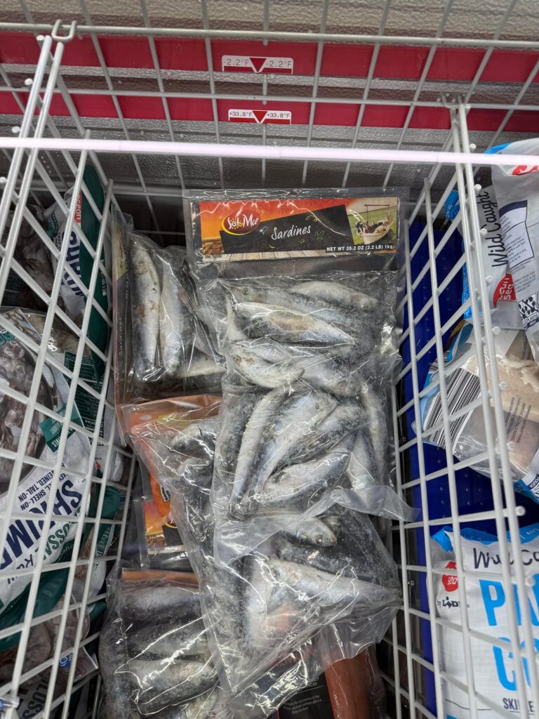 “Fresh” sardines