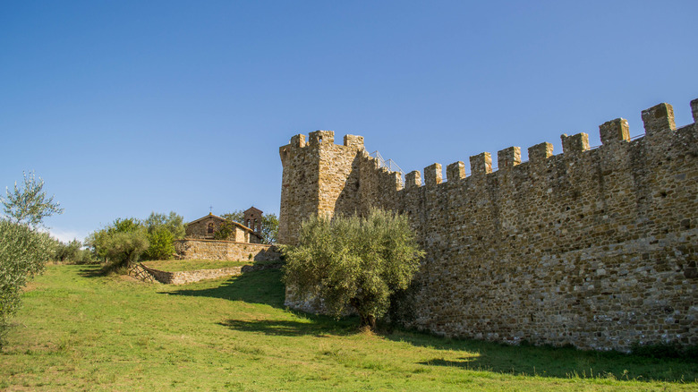 The fortress on Isola Polvese