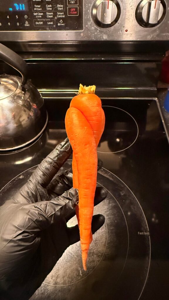 I found a sexy carrot 🥕
