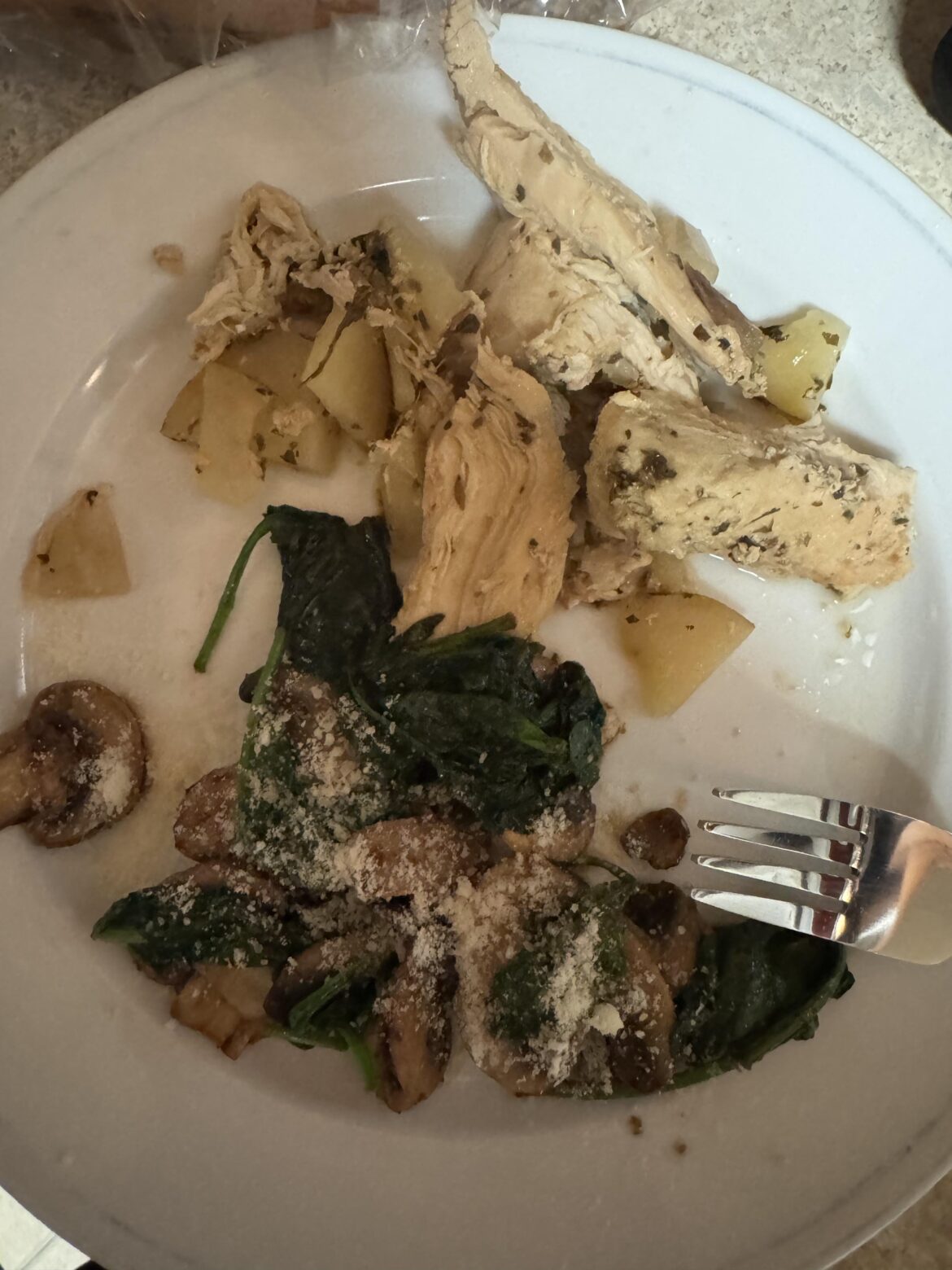 I showed my centenarian great grandma’s lunch that we had together, so here’s what dinner ended up being.