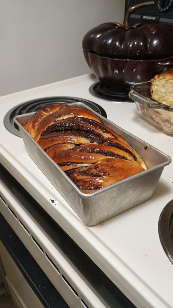 Snow Day Chocolate Brioche Babka