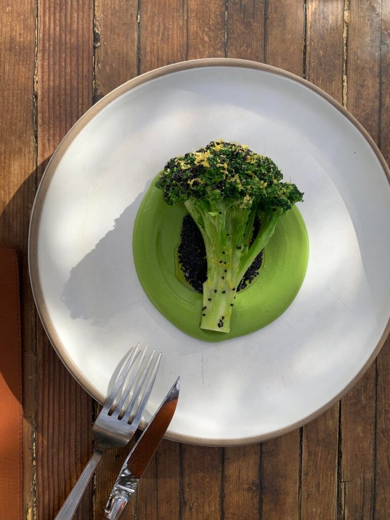 Baja California highlights (Valle de Guadalupe, Ensenada, and Tijuana)