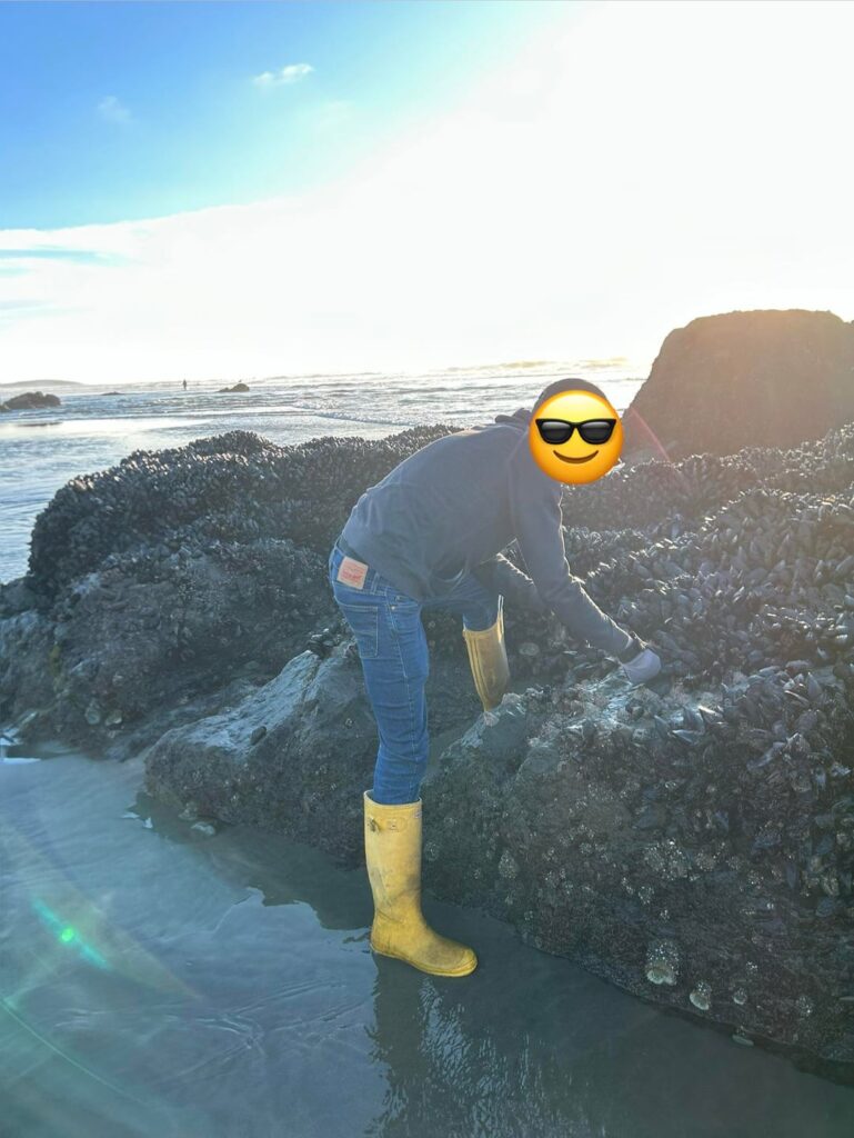 Mussels from the beach