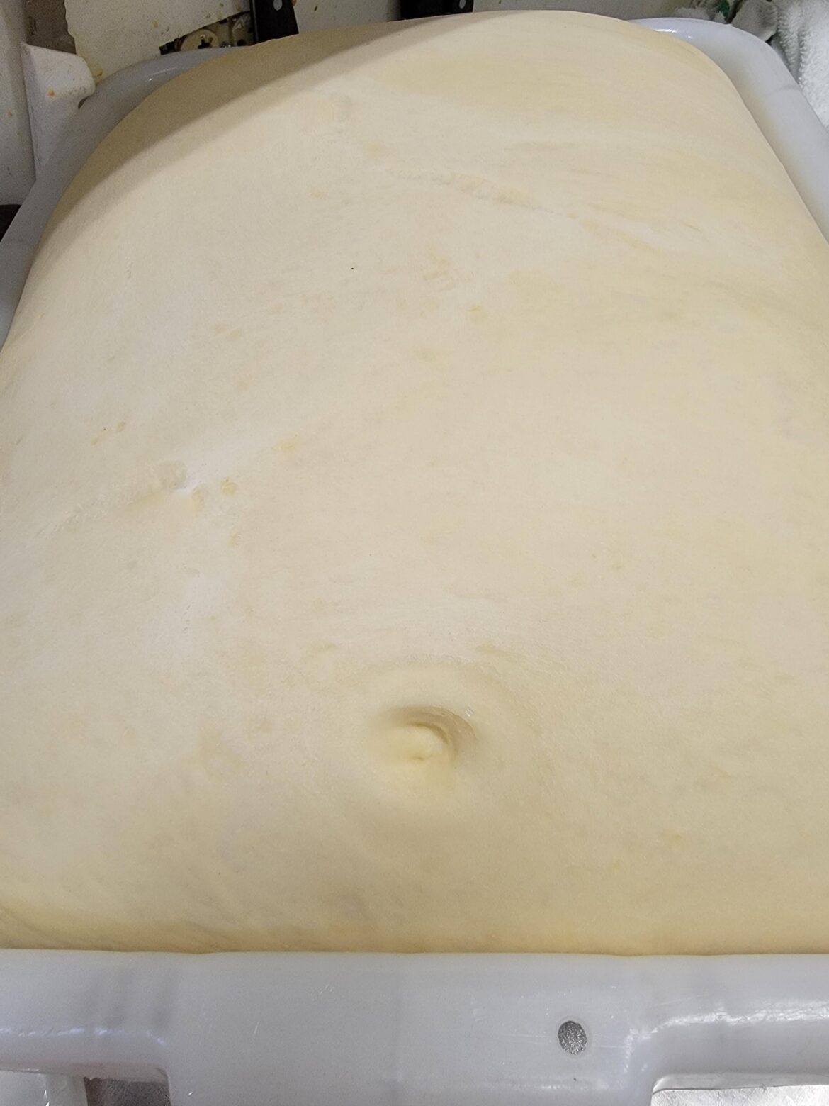 I dropped a can of pan spray and now my dough has a belly button.