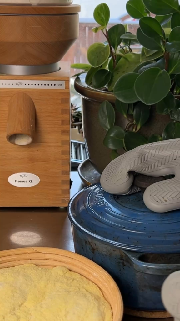 Saturday’s Sourdough