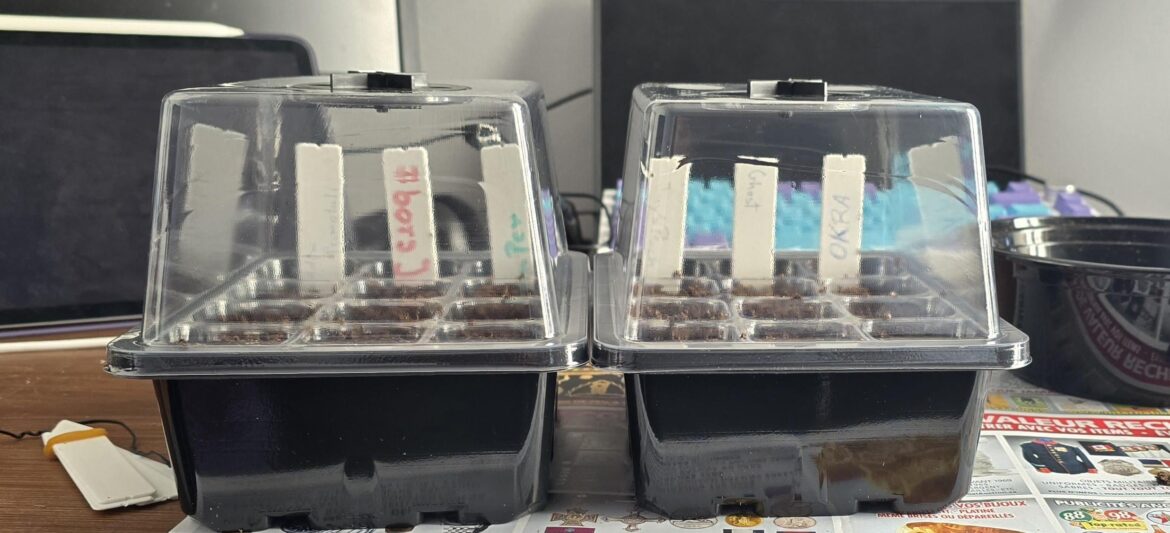 Starting my superhots