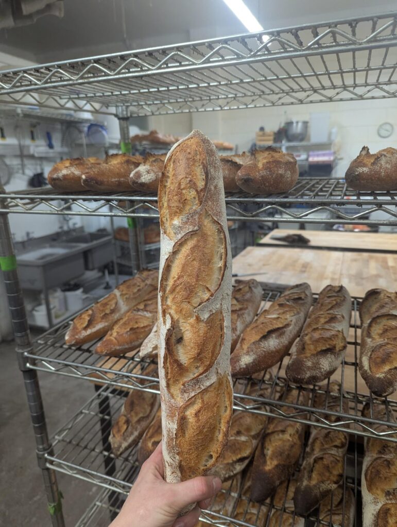 Just finished a shift at a local sourdough bakery, thought I'd share 🥖