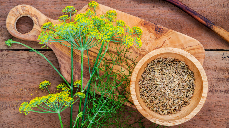 Fennel blossoms and wooden bowl of fennel seeds on a wooden cutting board