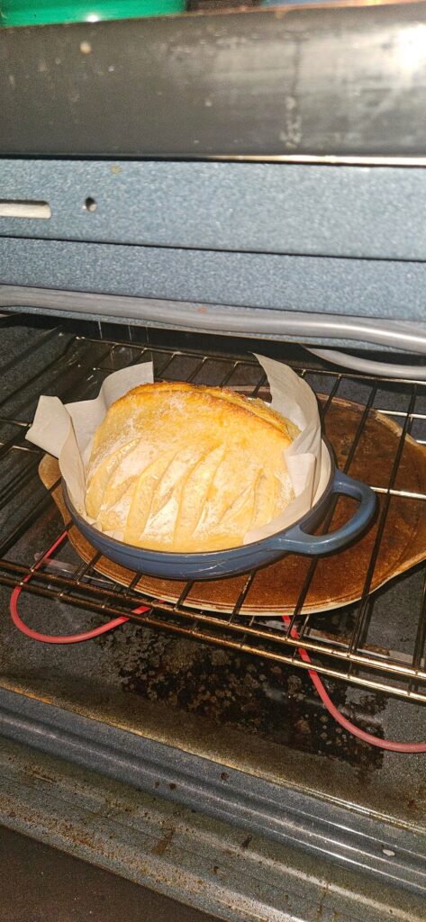 Put this loaf in the oven in 2025 and pulled it in 2026. Best crumb yet.