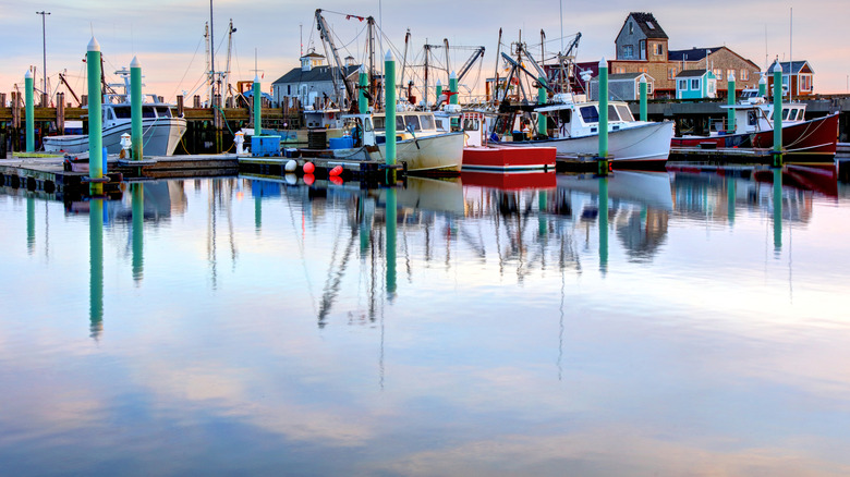line of boats in Provincetown, MA