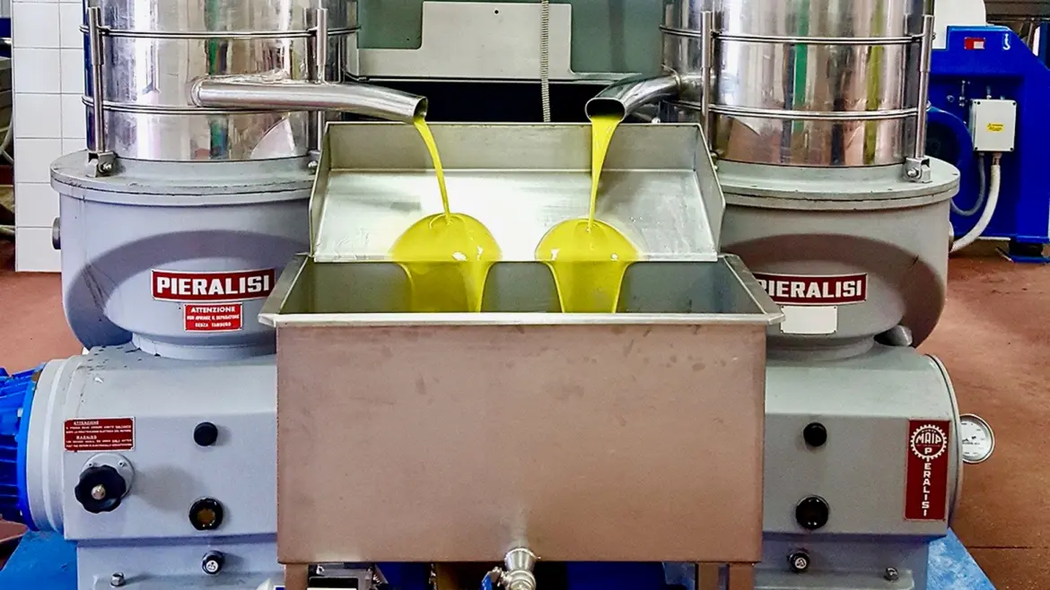 The price of olive oil? The challenge between production costs and identity