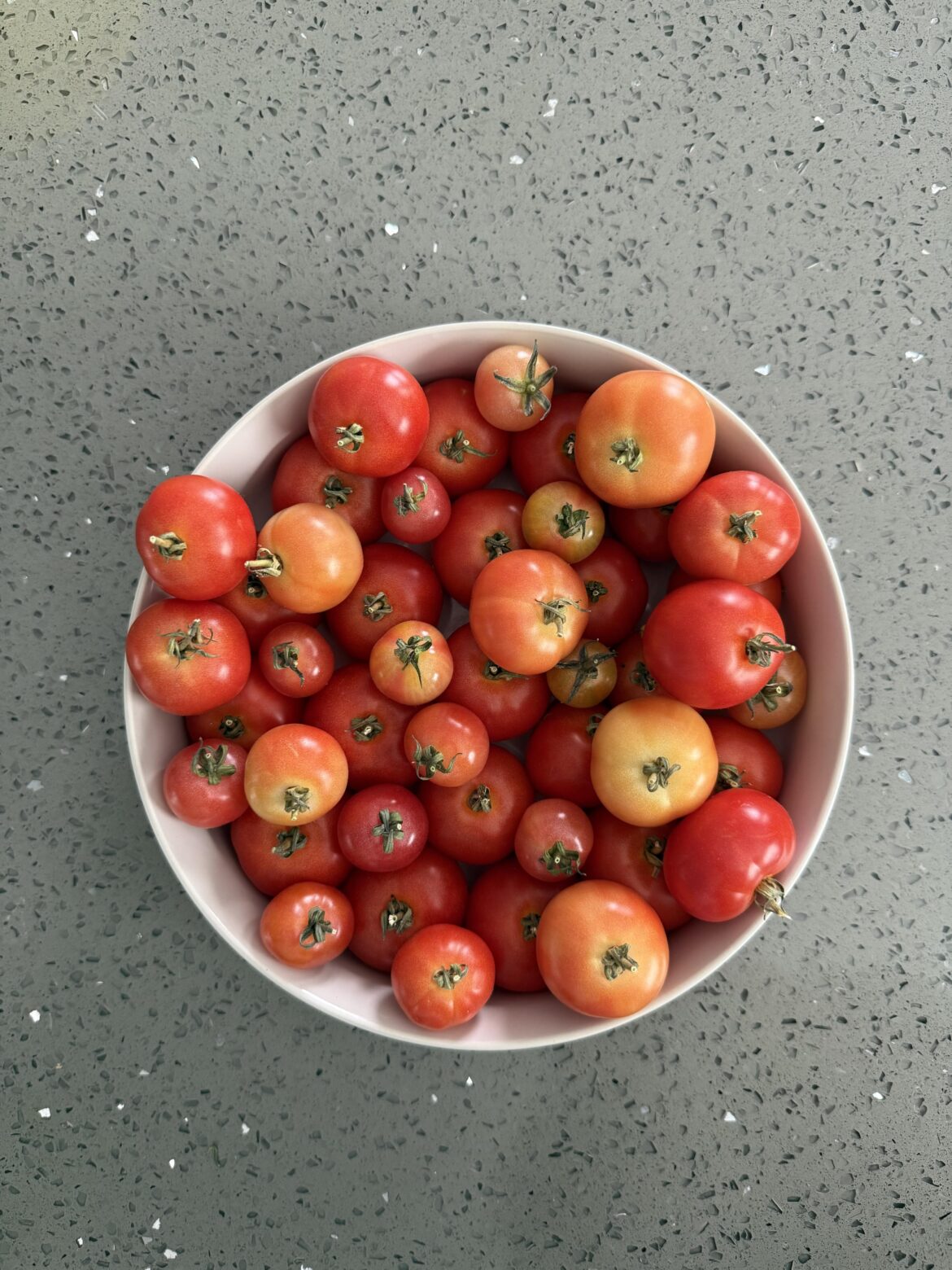 My late season tomatoes finally said Hello! My late season tomatoes finally said Hello!