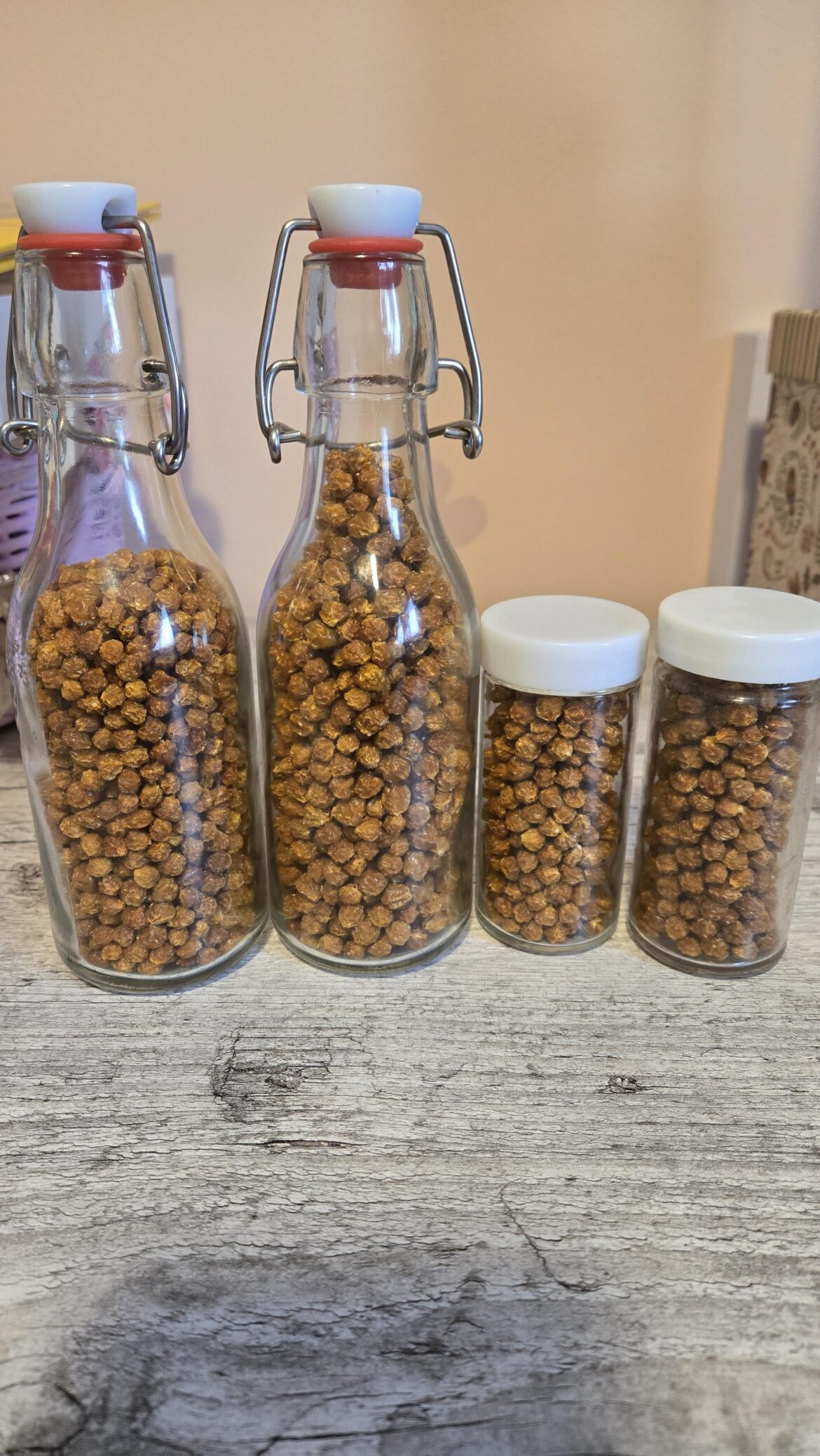 Zone 5b Charapita Harvest