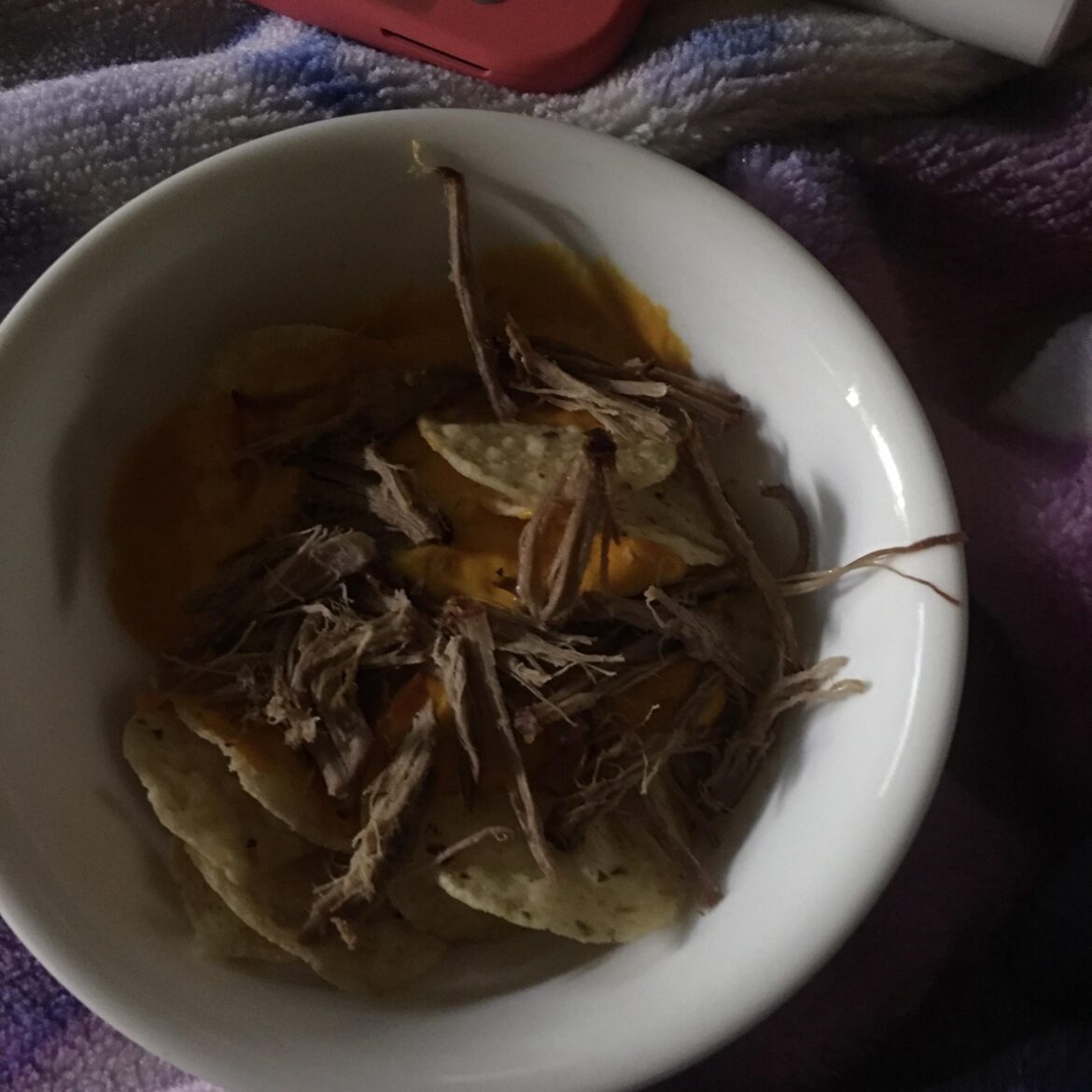 nacho cheese microwaved on top of tortilla chips. topped with shredded deer meat from a roast my husband made too much of. tastes good. probably a stupid way to eat deer.