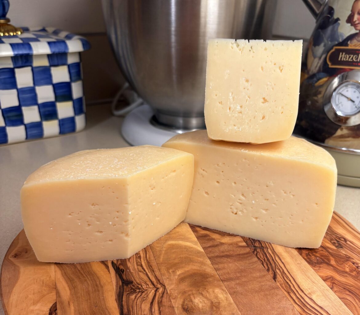 Homemade extra hard Italian grating cheese (parmesan style) aged one year.