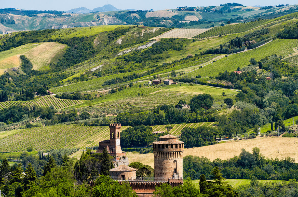 13 wines to help you understand Sangiovese from Romagna 13 wines to help you understand Sangiovese from Romagna