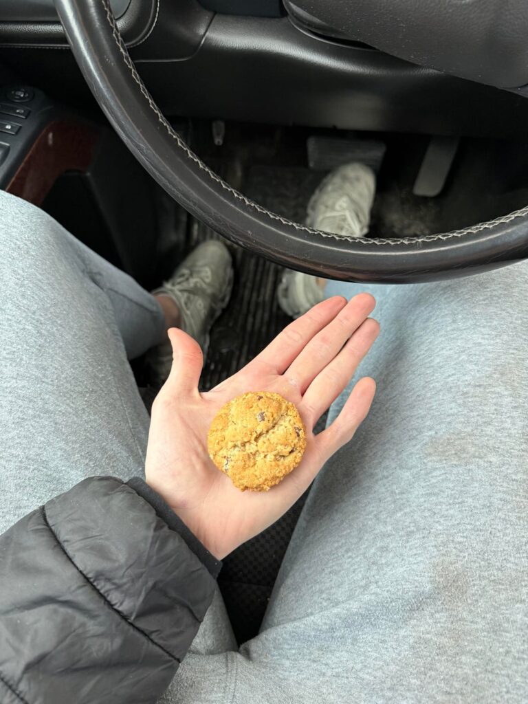 Calories in oatmeal chocolate chip cookie