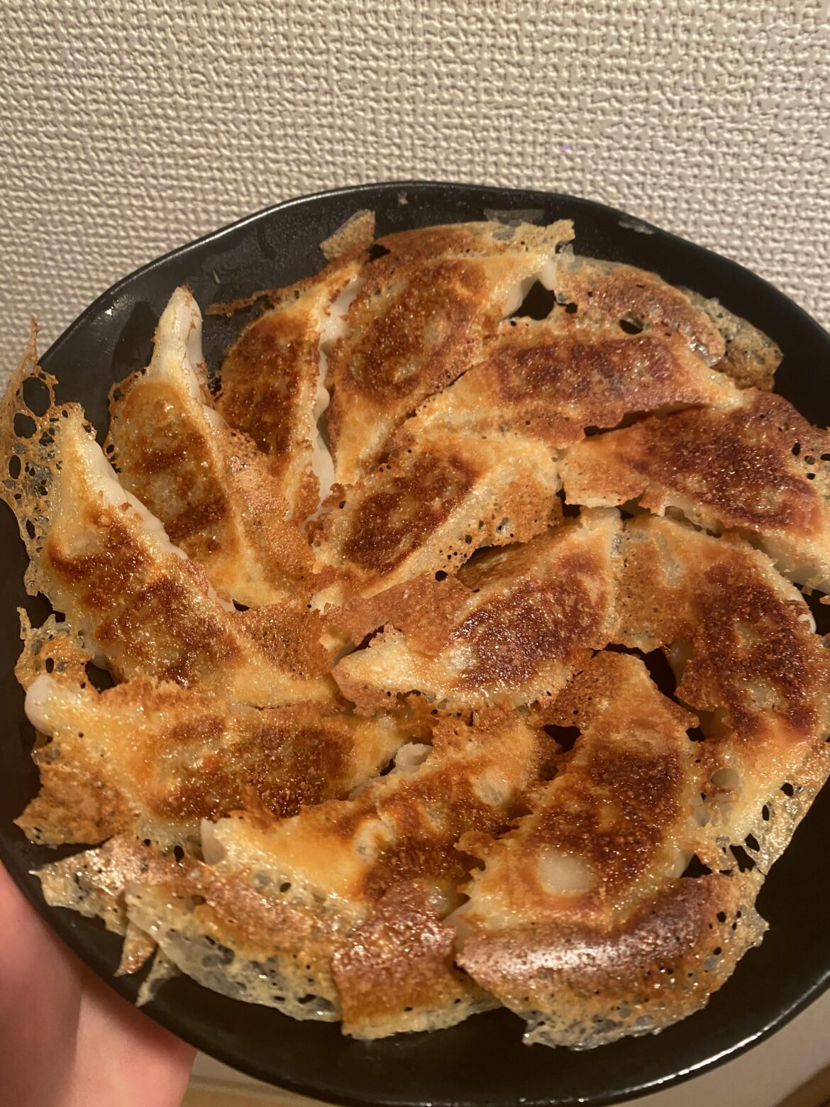 Gyoza