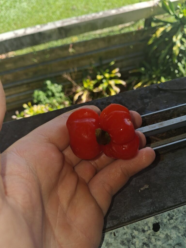 Growers of reddit what is you fav freak of nature