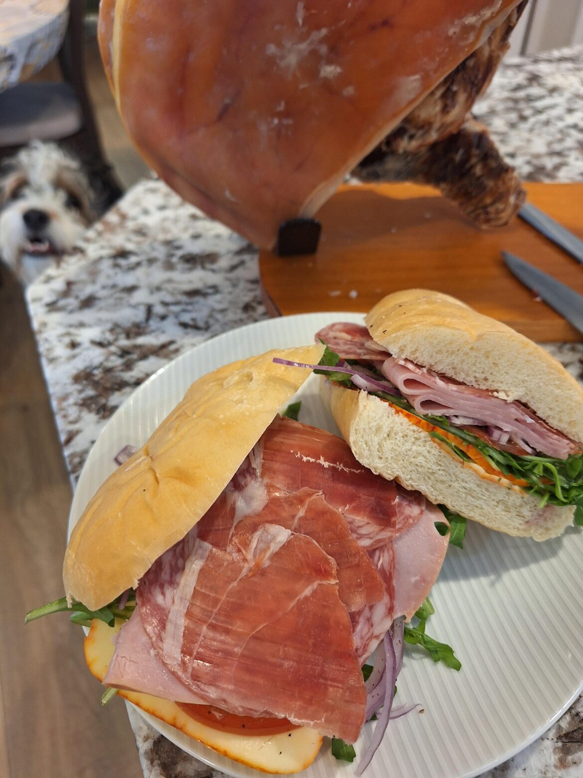 Jamon, ham, and salami with muenster, arugula, tomato, onions, and oil and vinegar