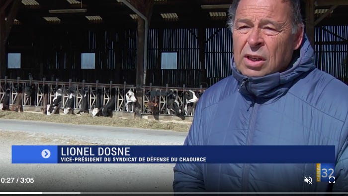 The wonder of Fromage – unveiling one French cheese at a time The wonder of Fromage – unveiling one French cheese at a time