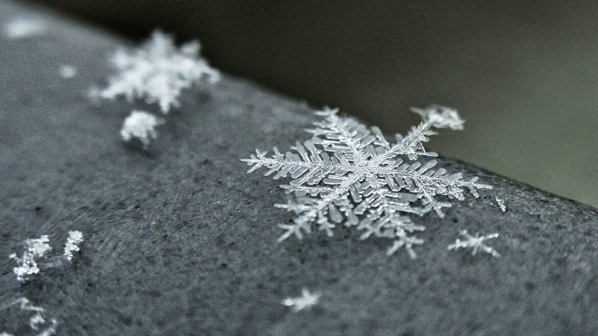 Winter Wonder and Warmth ❄️🍲📚