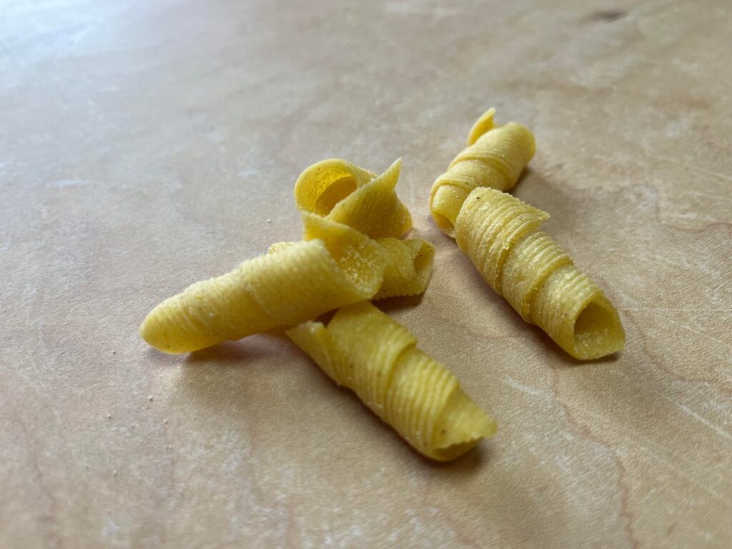 Lumachelle with a tomato sauce and pecorino