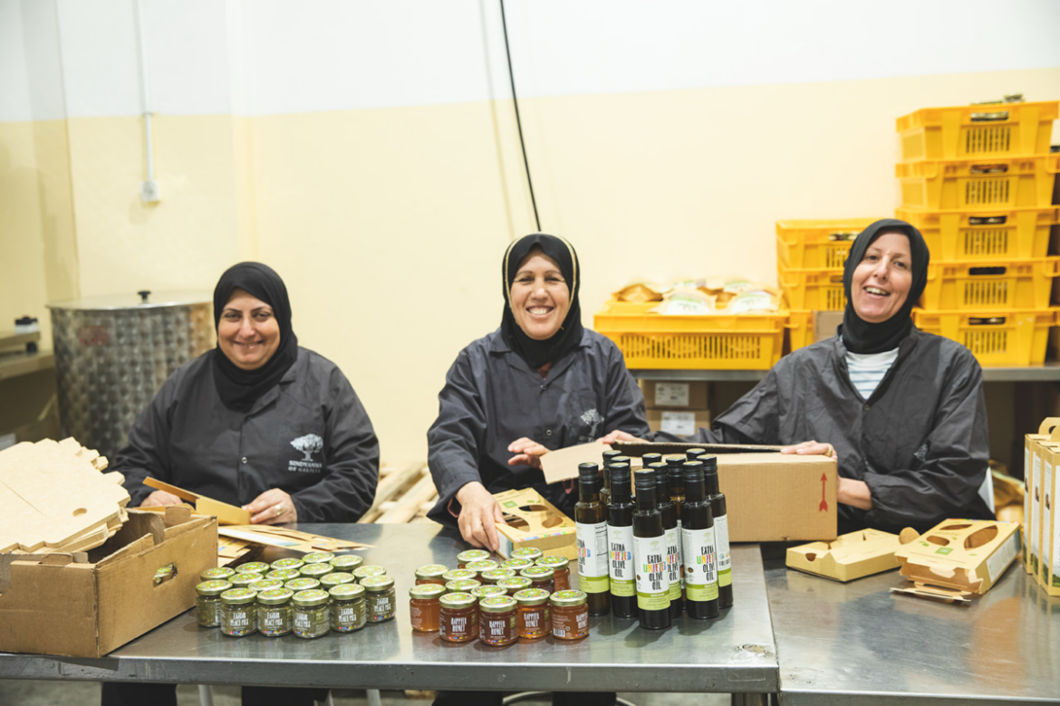 Too Israeli for the world, too Arab for Israelis, women's olive oil collective presses on 