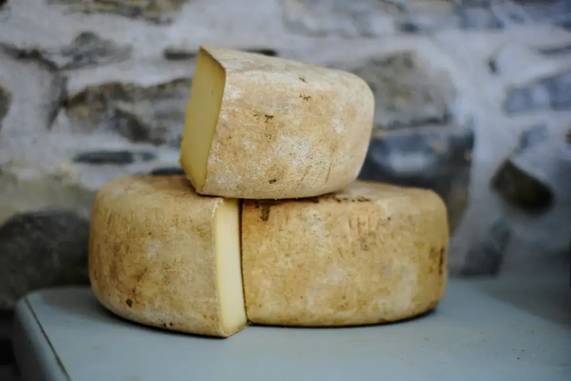 France issues new cheese recall after mass callback on 12th August