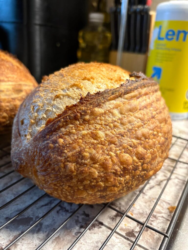 First bake of the year and progress after half a year of sourdough