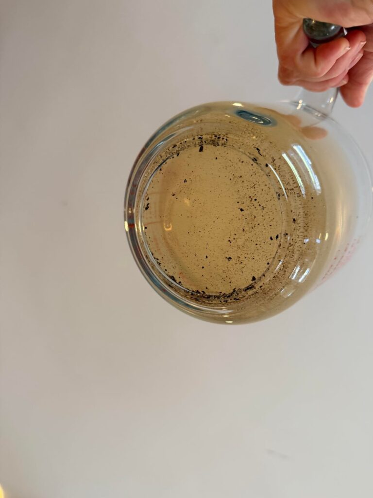 Please don’t tell me this is mold..