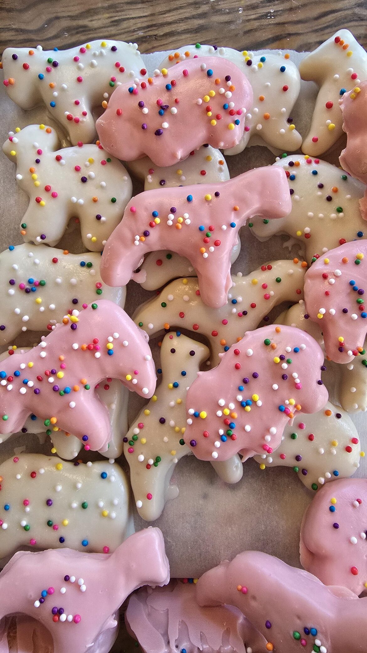 Circus animal cookies - they're so cute!