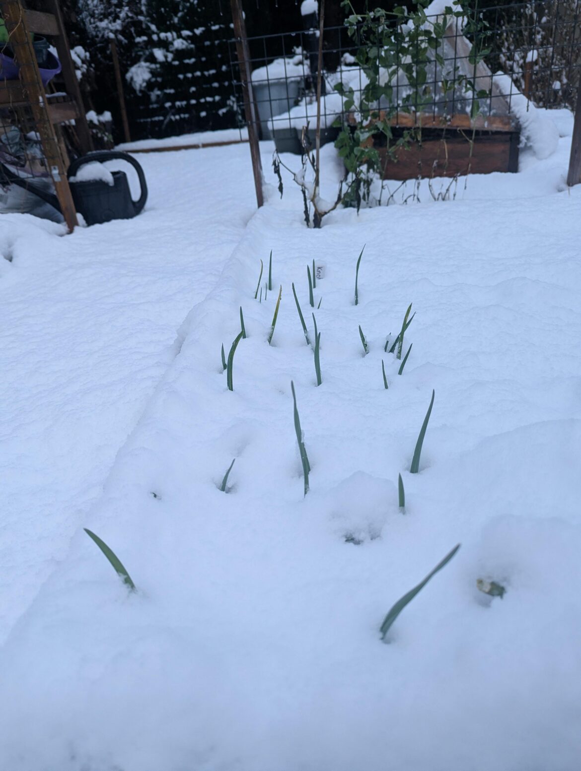 Anyone else getting exited for spring?