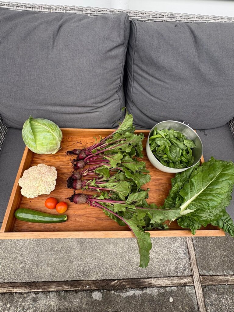 Just a little harvest for the day