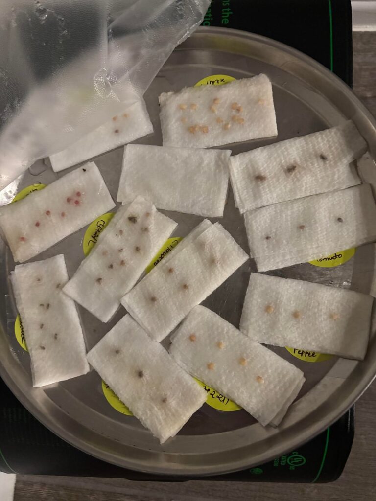 Is this seeds growing set up, correct?