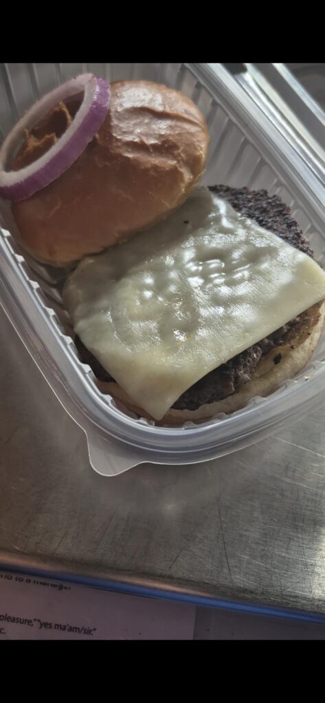Plain cheeseburger with a garnish onion