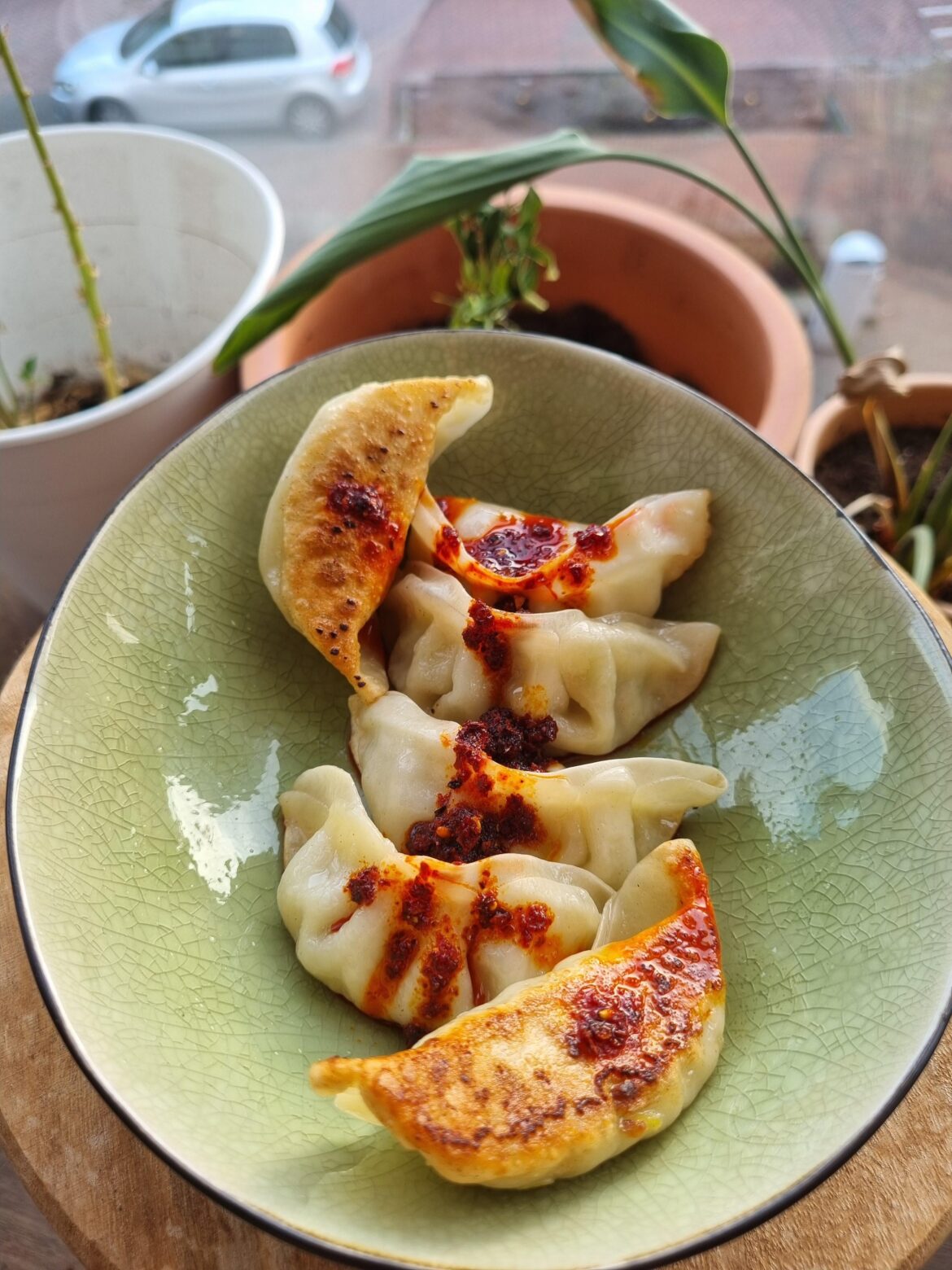 Chicken gyoza with crispy chili oil