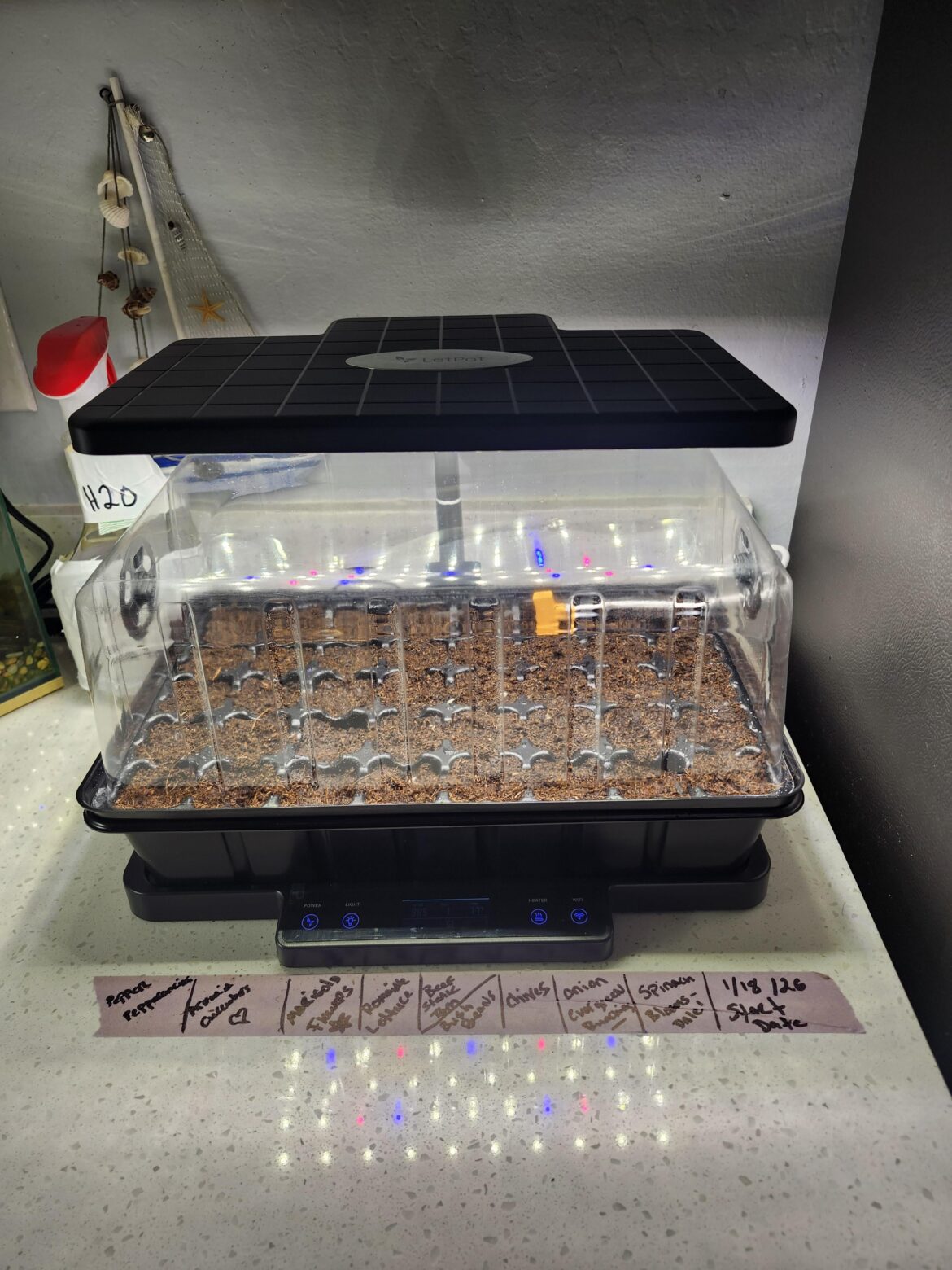 Just starting seeds in doors ! Does anyone have this unit ? Its called letpot automatic seedling starter .