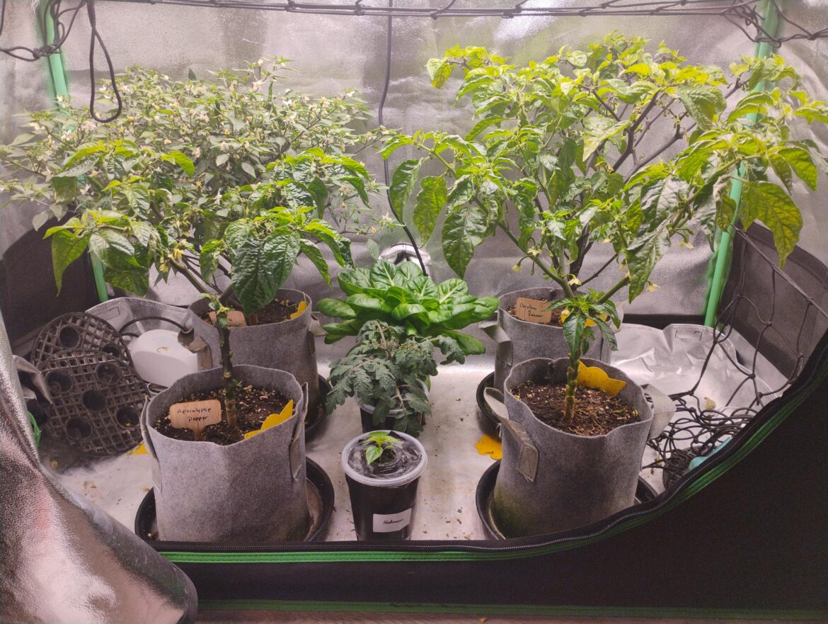 Cruising Along 91 days