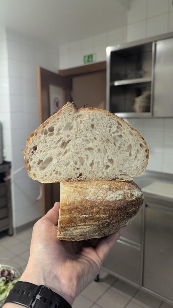 Country loaf Country loaf