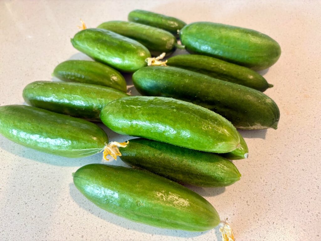 Wow, they really don’t stop