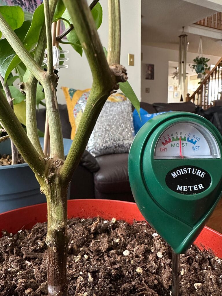 I’m not sure about this anymore…is it game over?