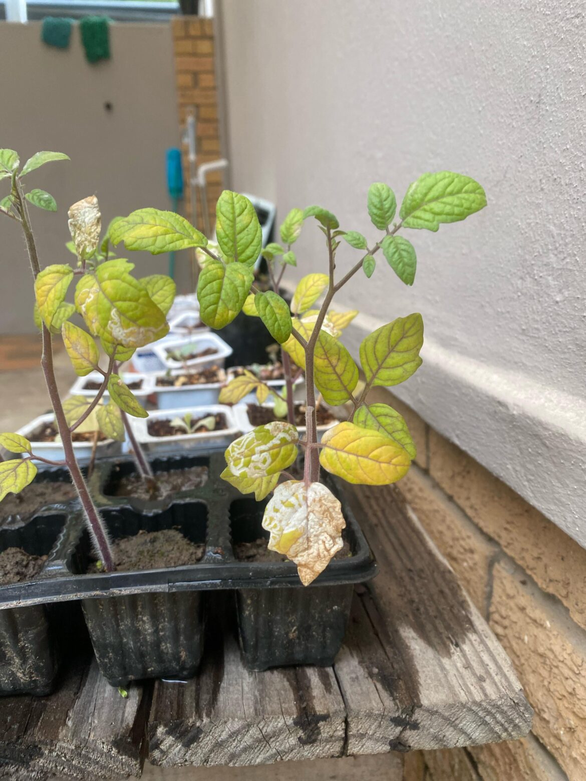 Any idea what’s wrong?